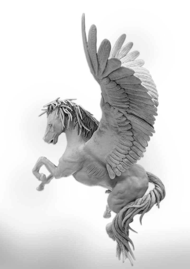 Pegasus scaled